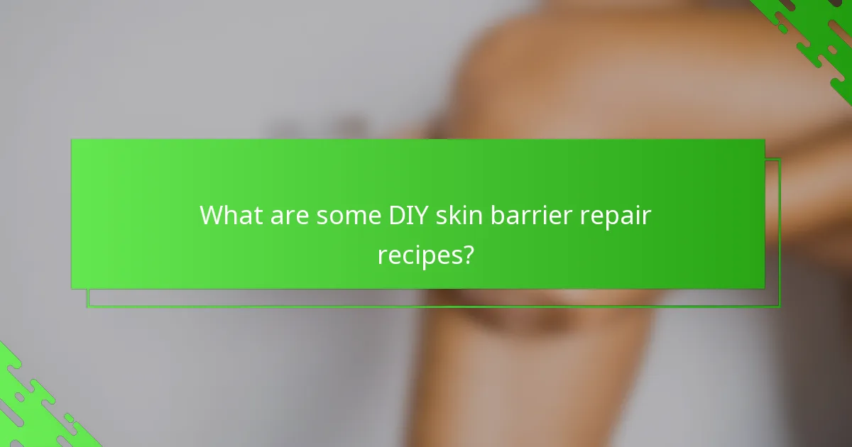 What are some DIY skin barrier repair recipes?